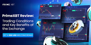 Maximize Your Trading Potential with PrimeXBT Bonus Maximize Your Trading Potential with PrimeXBT Bonus